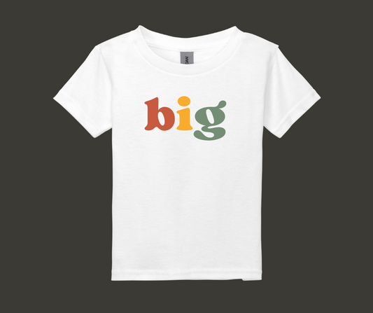 Big Sibling Shirt, Middle Sibling Shirt, Little Sibling Shirt, Kids Shirt, Siblings Shirt, Sister, Brother