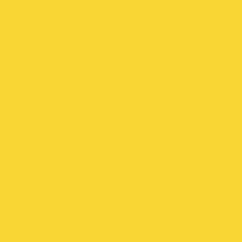 Yellow Tag Lakota- (in shop)