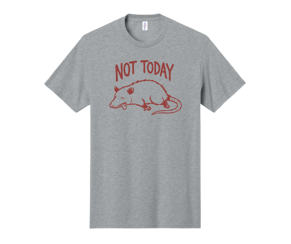 Not Today Shirt, Funny Shirt, Opossum Shirt