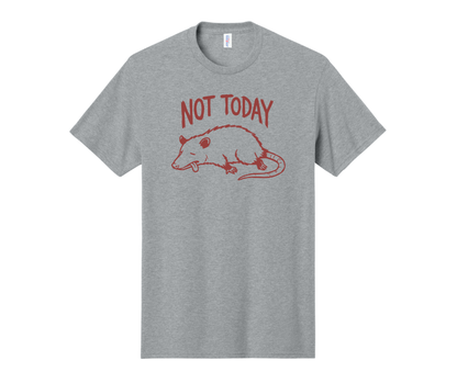 Not Today Shirt, Funny Shirt, Opossum Shirt