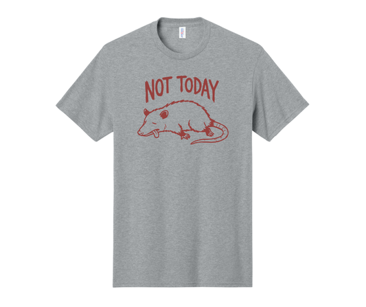 Not Today Shirt, Funny Shirt, Opossum Shirt