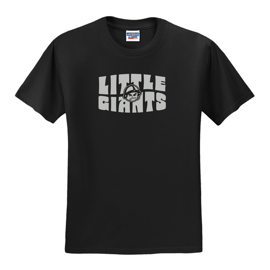 Fremont Ross (FRAS-41) Design on Optional Apparel