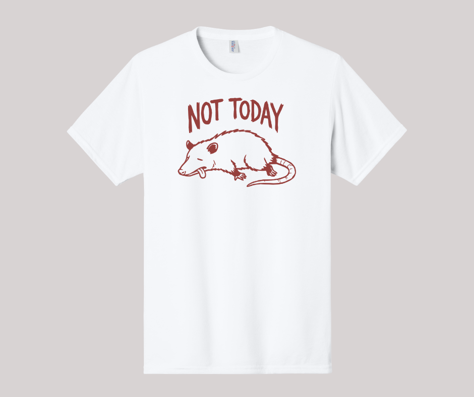 Not Today Shirt, Funny Shirt, Opossum Shirt