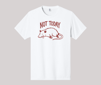 Not Today Shirt, Funny Shirt, Opossum Shirt