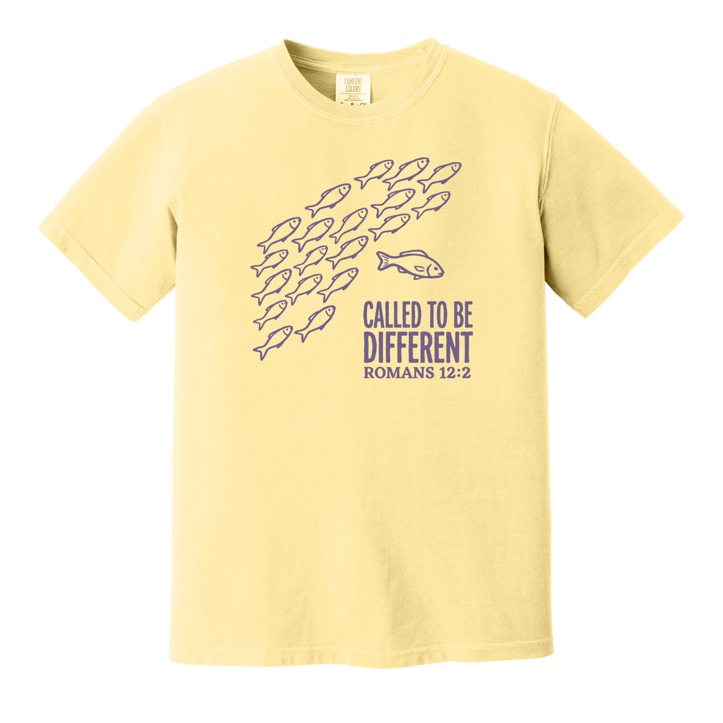 Called to Be Different Romans 12:2 Shirt, Christian Shirt, Faith Shirt, Jesus Shirt