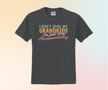 I Don't Spoil My Grandkids I'm Just Very Accommodating Shirt, Grandma Shirt, Grandparent Gift (29M)