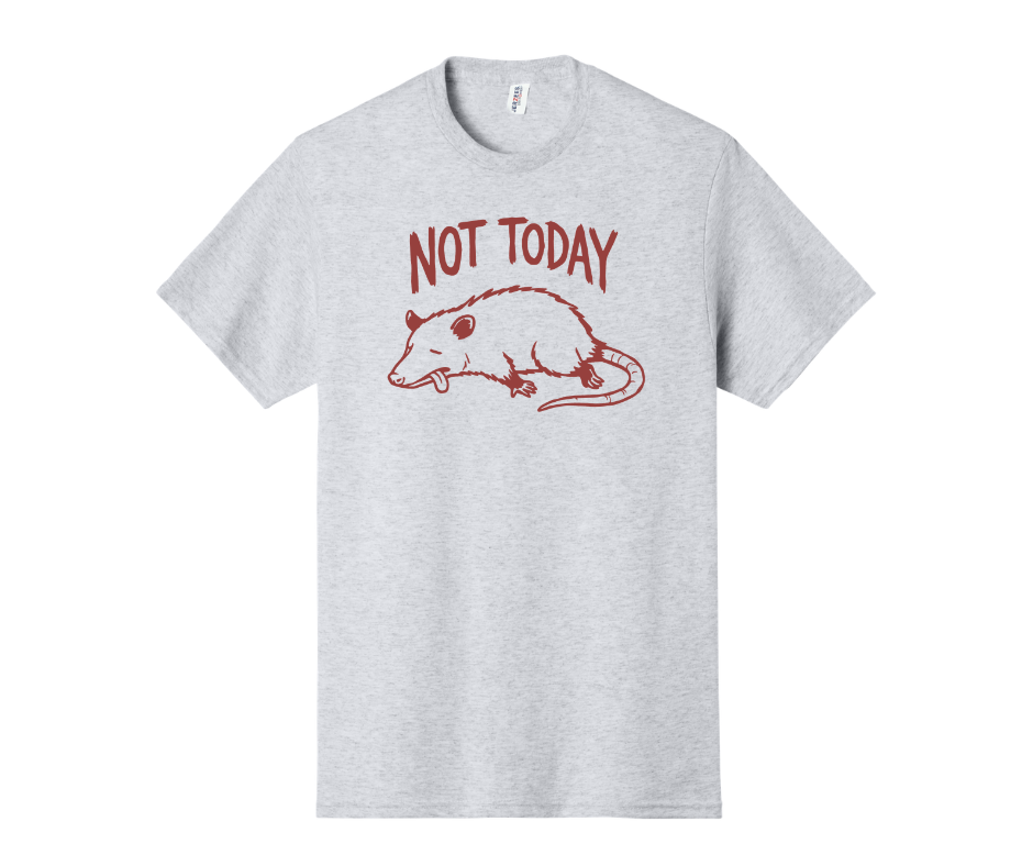 Not Today Shirt, Funny Shirt, Opossum Shirt