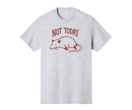 Not Today Shirt, Funny Shirt, Opossum Shirt