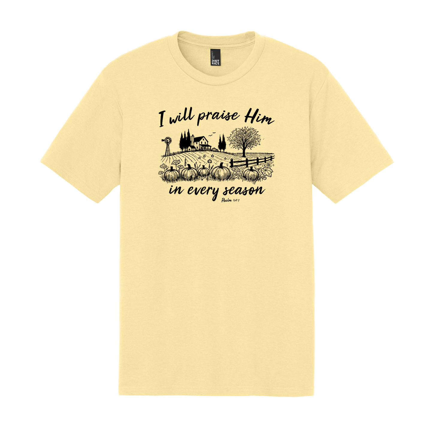 I Will Praise Him in Every Season, Christian Shirt, Faith Shirt, Fall Shirt, Autumn Shirt, Pumpkin Shirt (DM130)
