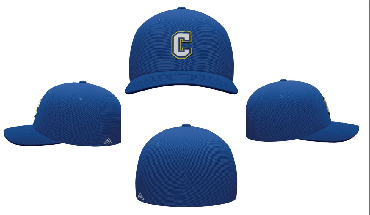Clyde Performance Flexfit Cap (498F)