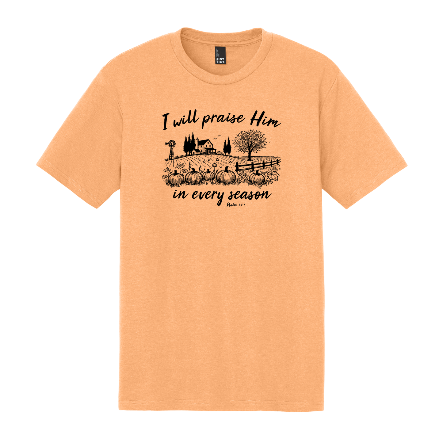 I Will Praise Him in Every Season, Christian Shirt, Faith Shirt, Fall Shirt, Autumn Shirt, Pumpkin Shirt (DM130)