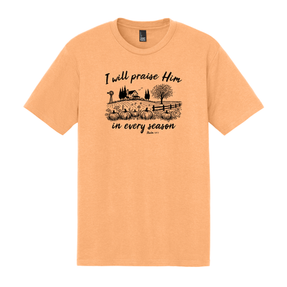 I Will Praise Him in Every Season, Christian Shirt, Faith Shirt, Fall Shirt, Autumn Shirt, Pumpkin Shirt (DM130)