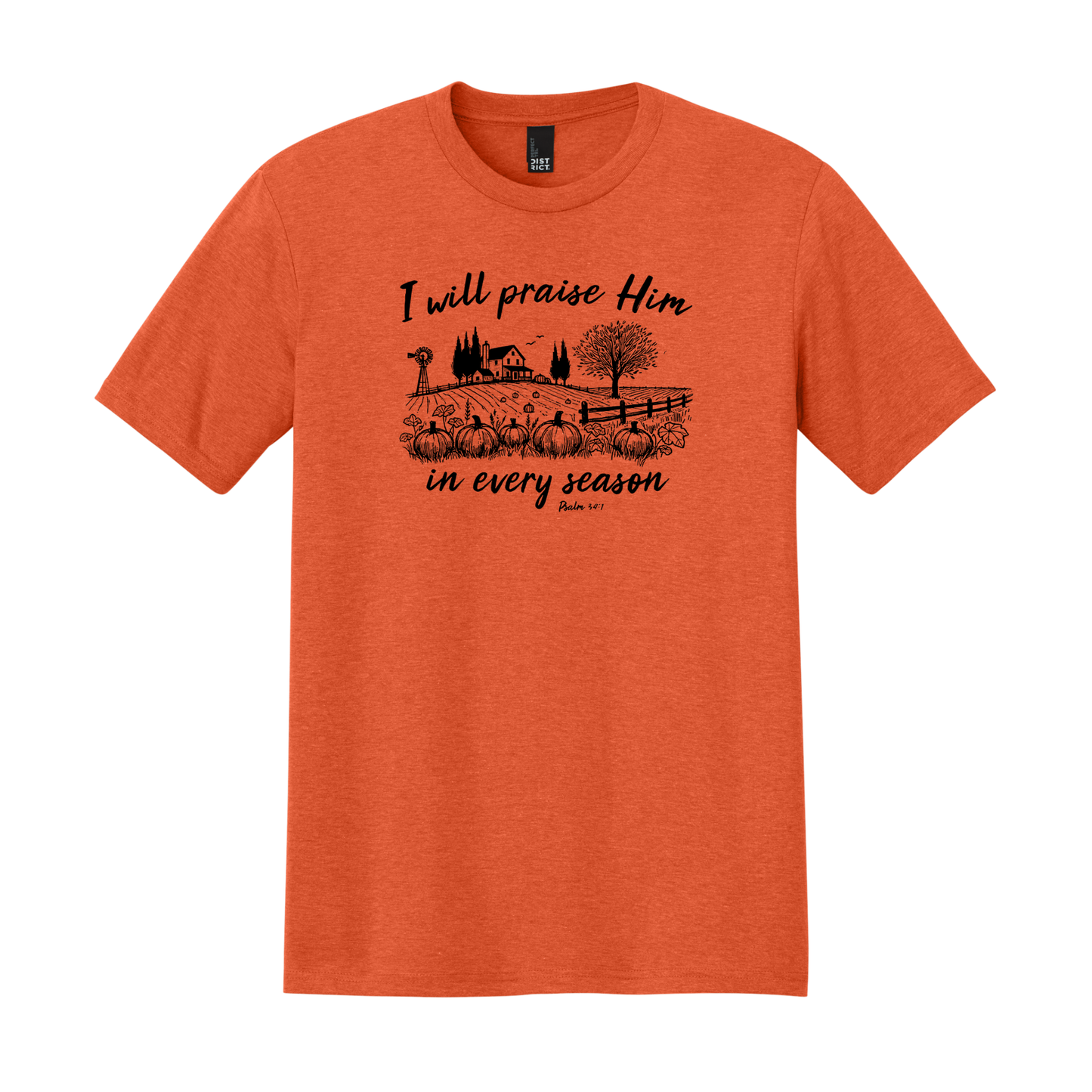 I Will Praise Him in Every Season, Christian Shirt, Faith Shirt, Fall Shirt, Autumn Shirt, Pumpkin Shirt (DM130)