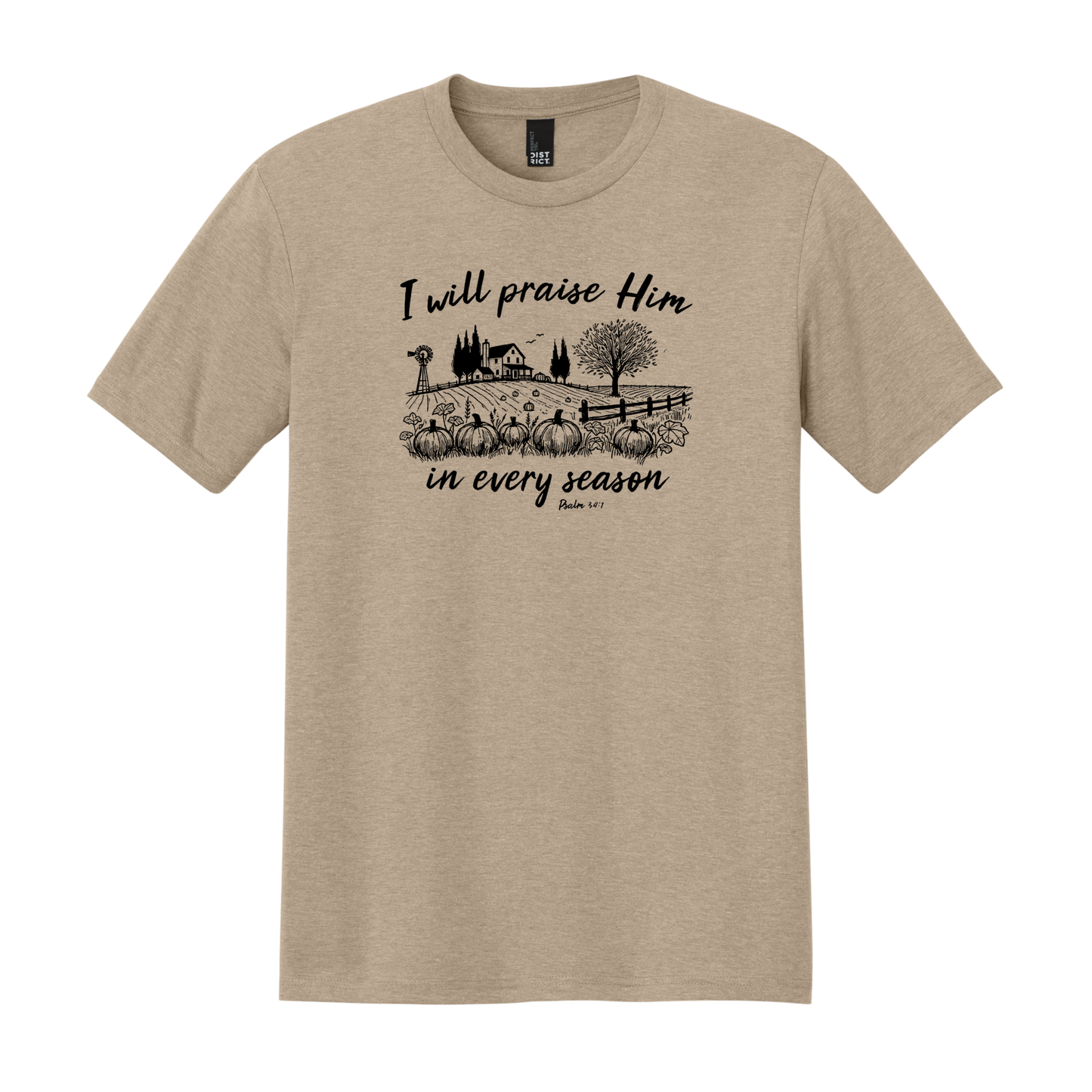 I Will Praise Him in Every Season, Christian Shirt, Faith Shirt, Fall Shirt, Autumn Shirt, Pumpkin Shirt (DM130)
