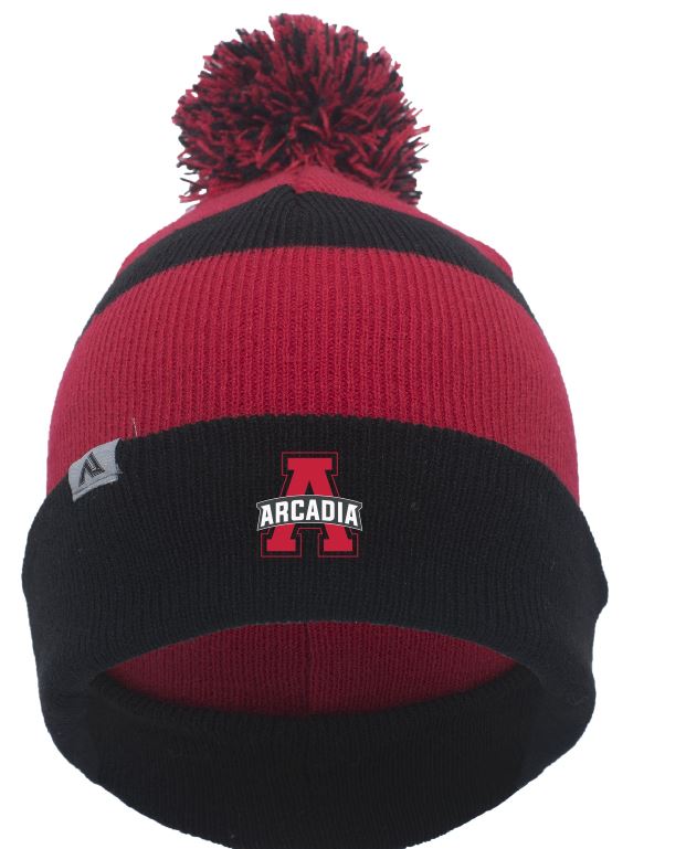 Arcadia Knit Fold Over Pom-Pom Beanie (641K)
