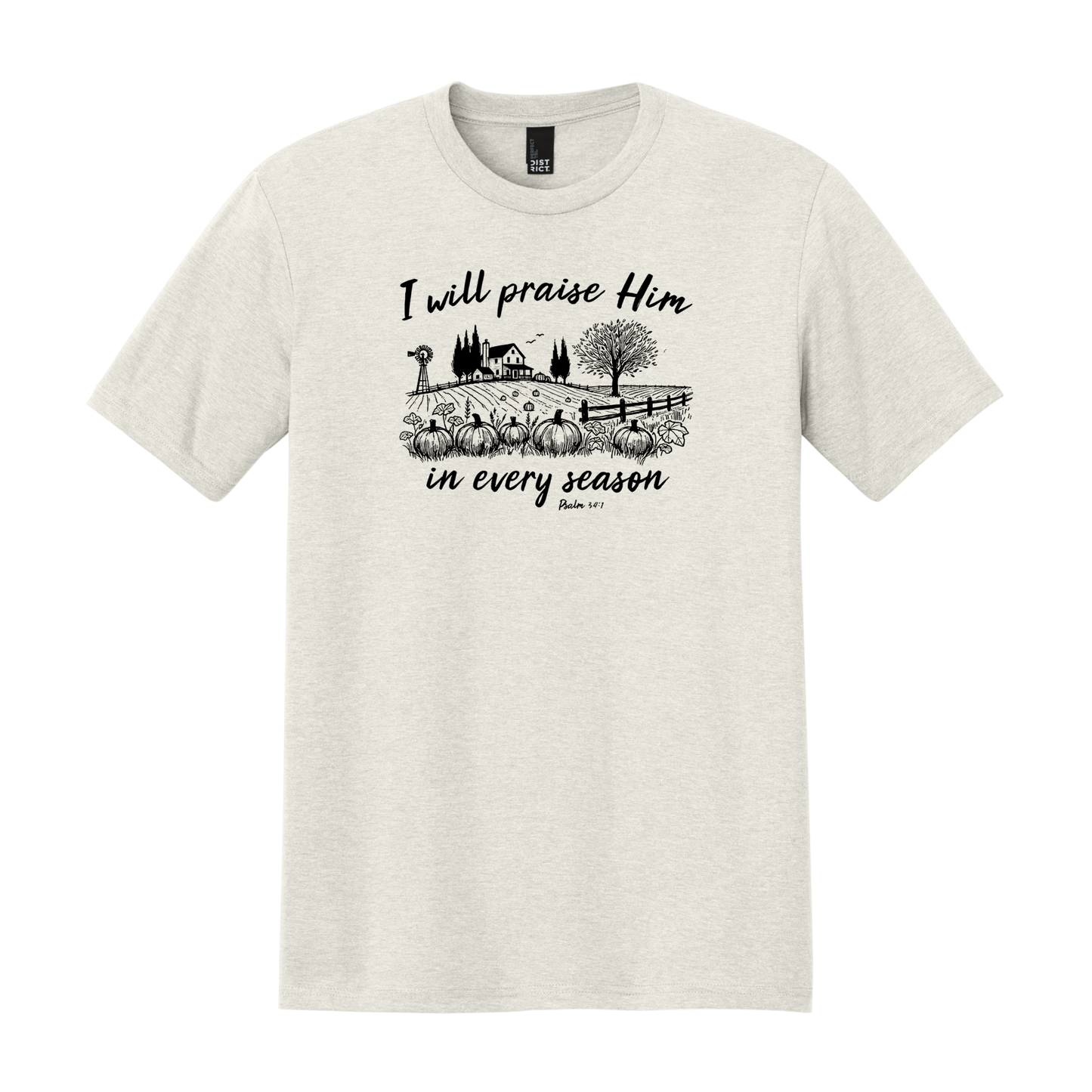 I Will Praise Him in Every Season, Christian Shirt, Faith Shirt, Fall Shirt, Autumn Shirt, Pumpkin Shirt (DM130)