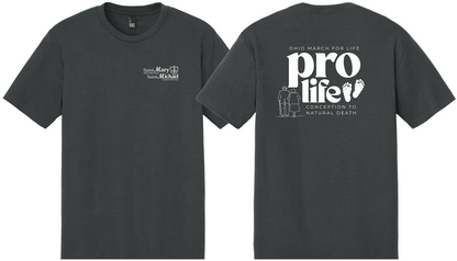 St. Mary & St. Michael Ohio March for Life Triblend T-Shirt (DM130)