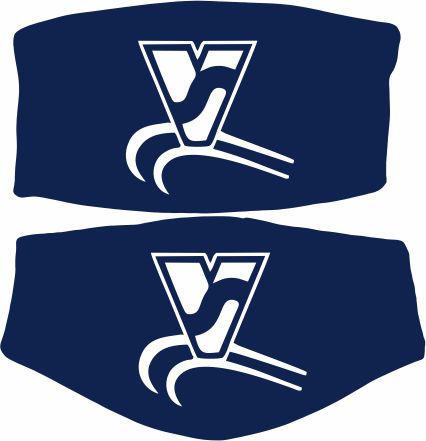 Vanguard Career Center Face Mask
