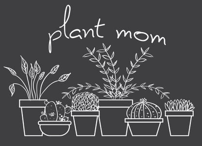 Plant Mom Shirt, Plant Shirt, Succulents Shirt, Women's Shirt, Houseplants Shirt